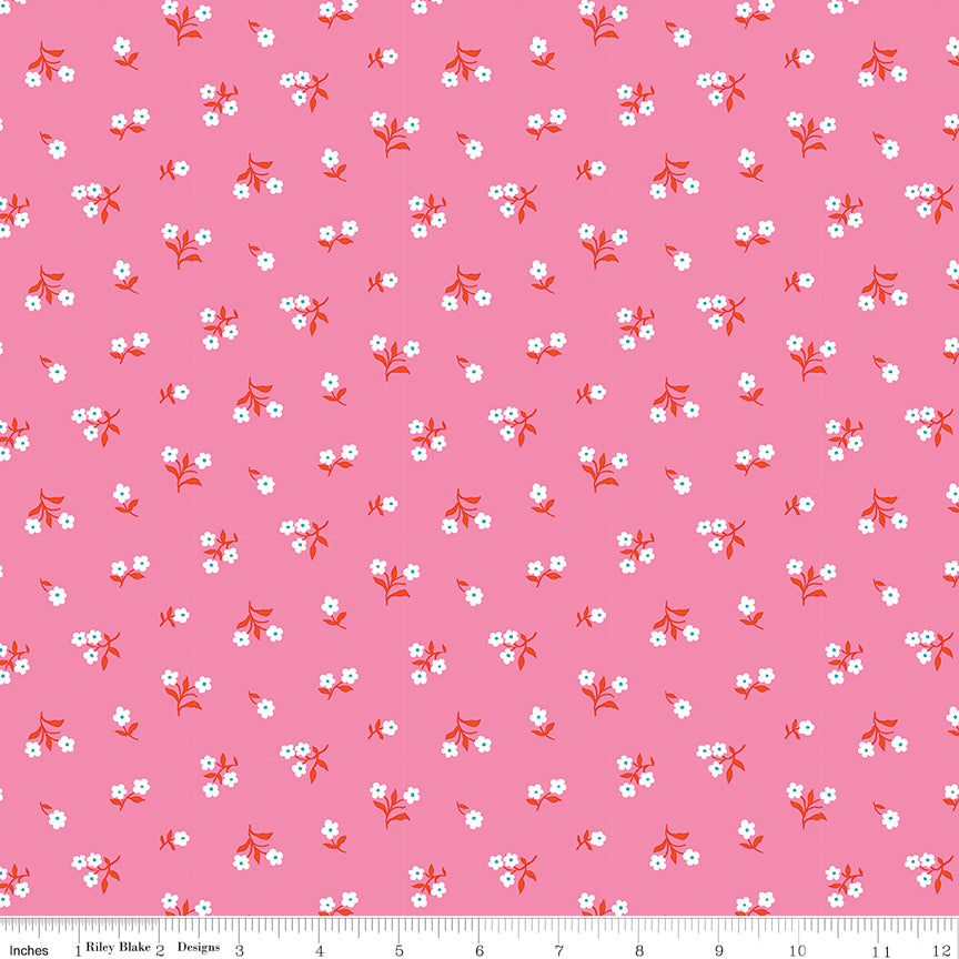 London Parks | Primrose Hill B