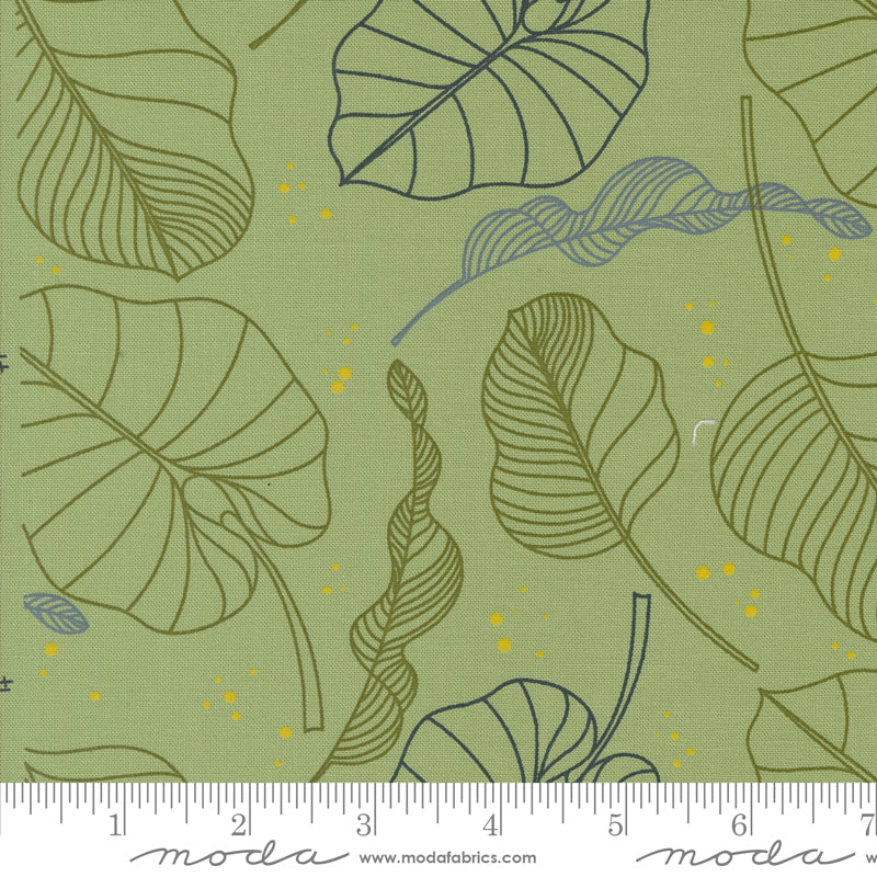 Olive You | Leaves Sage