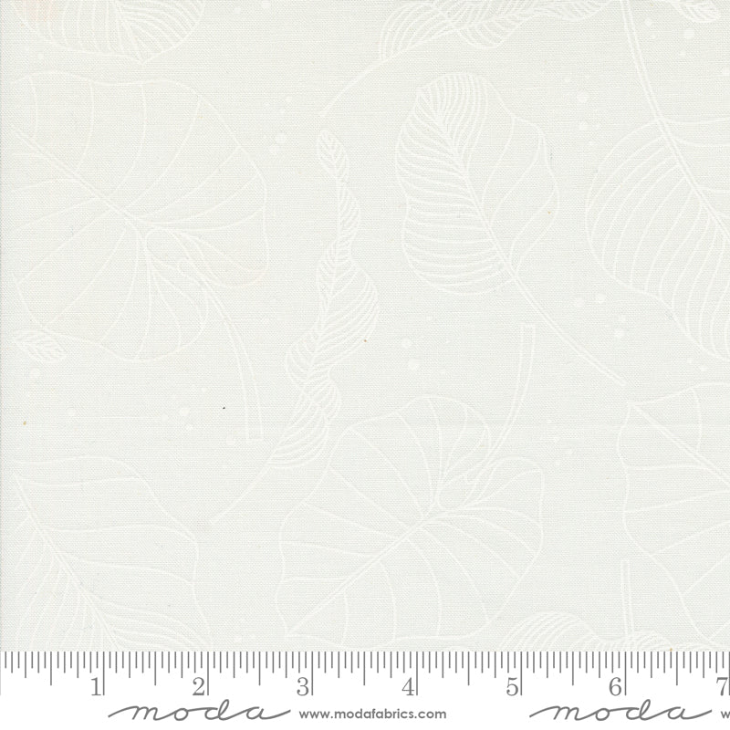 Olive You | Leaves Cloud