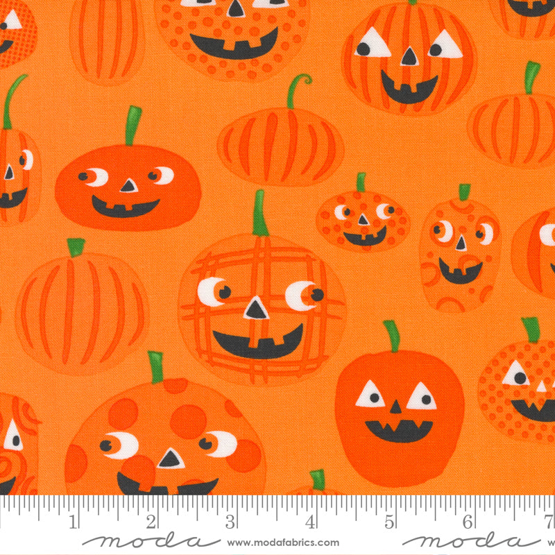 Too Cute To Spook | Pumpkin To Talk About Pumpkin