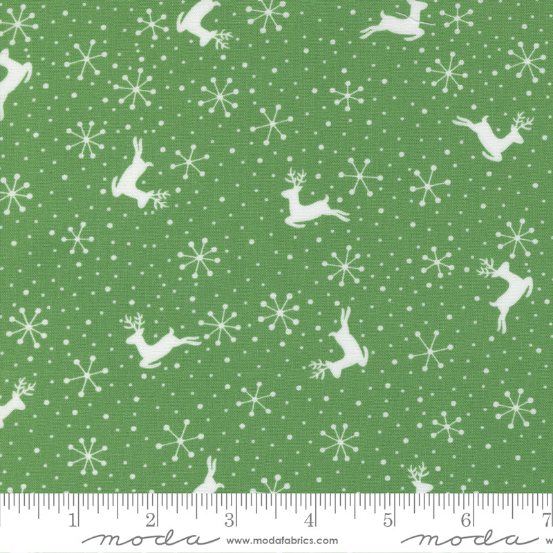 Reindeer Games | Reindeer Dots Evergreen