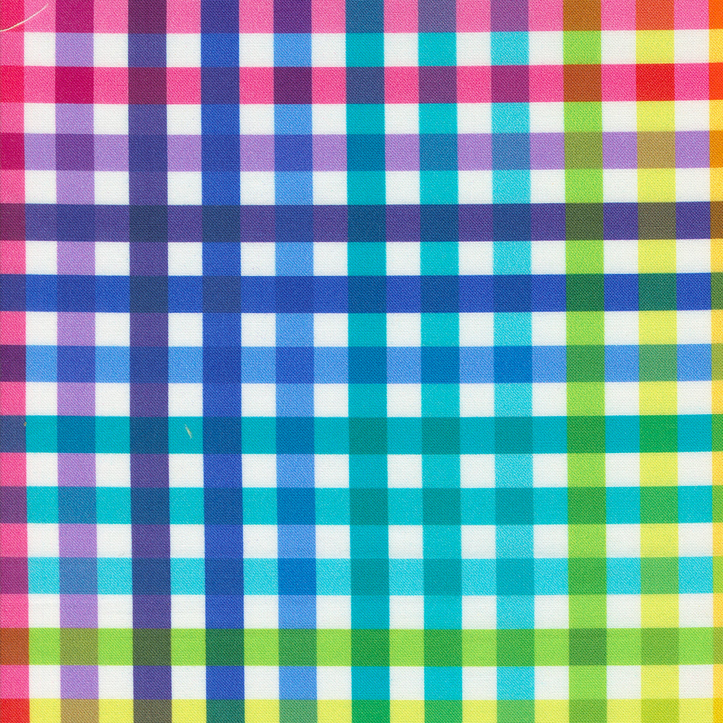 Fiesta | Picnic Party Plaid Multi