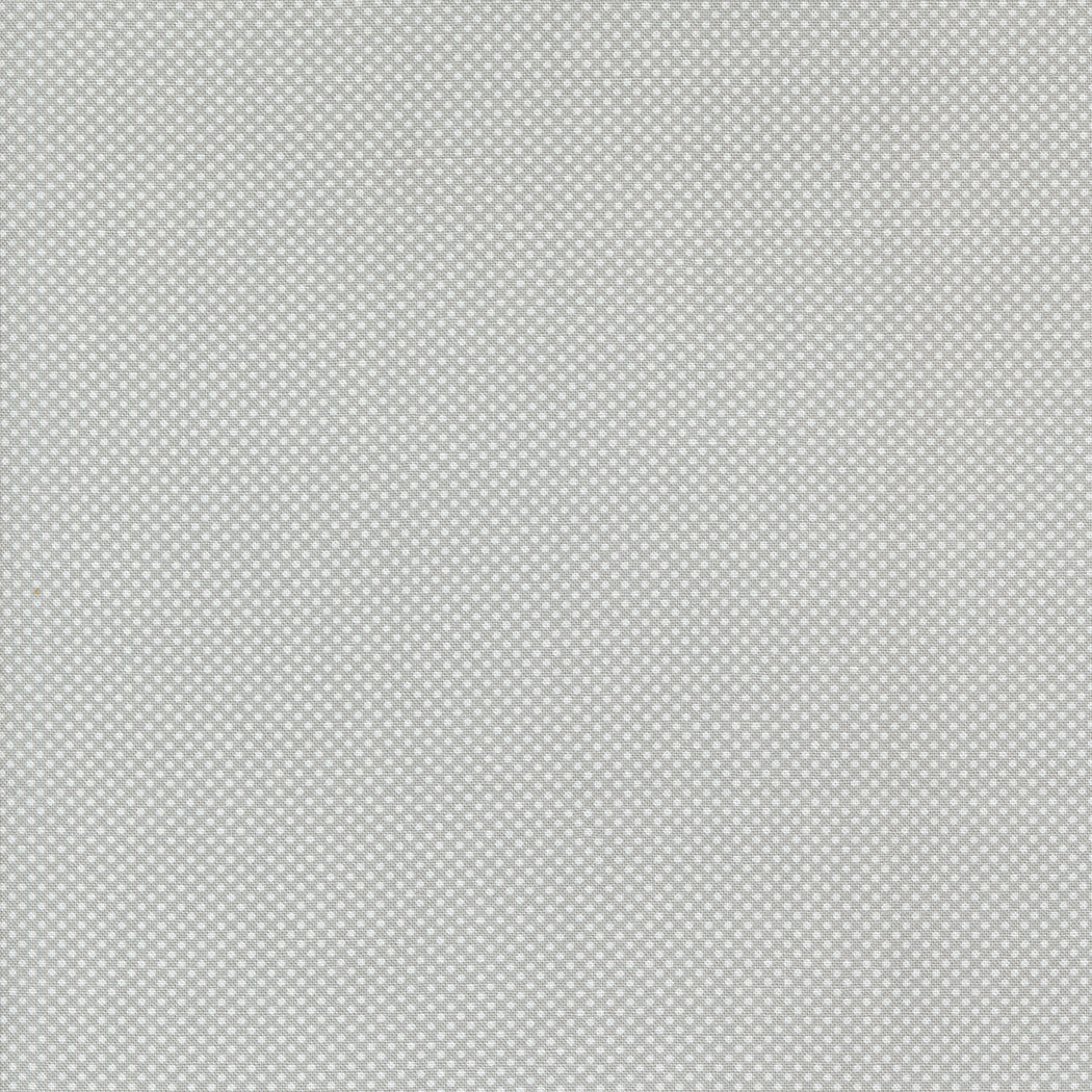 Coriander Colors | Tiny Dots Grey