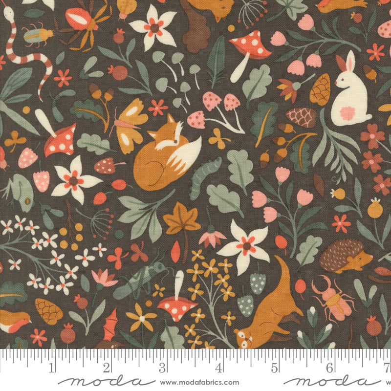 Acorn Hollow | Flora and Fauna Soil