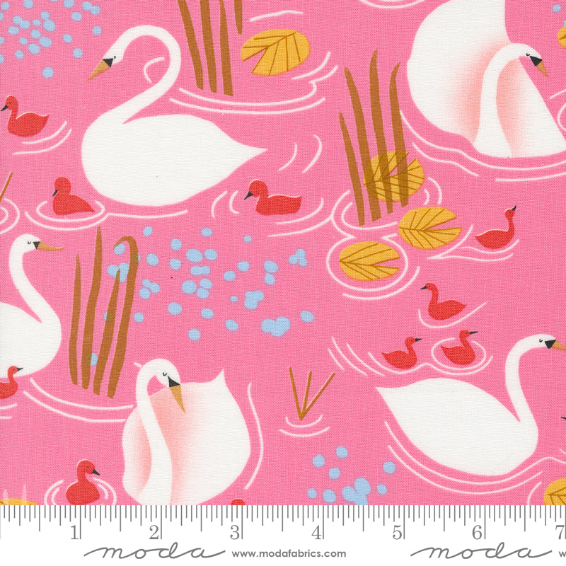 Love Letter | Novelty Swans Pink