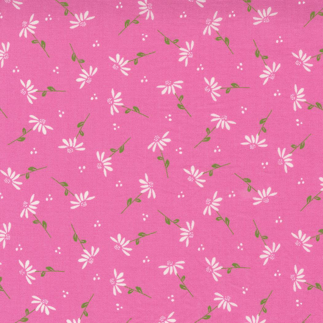 Sincerely Yours | Dainty Floral Daisy Petunia