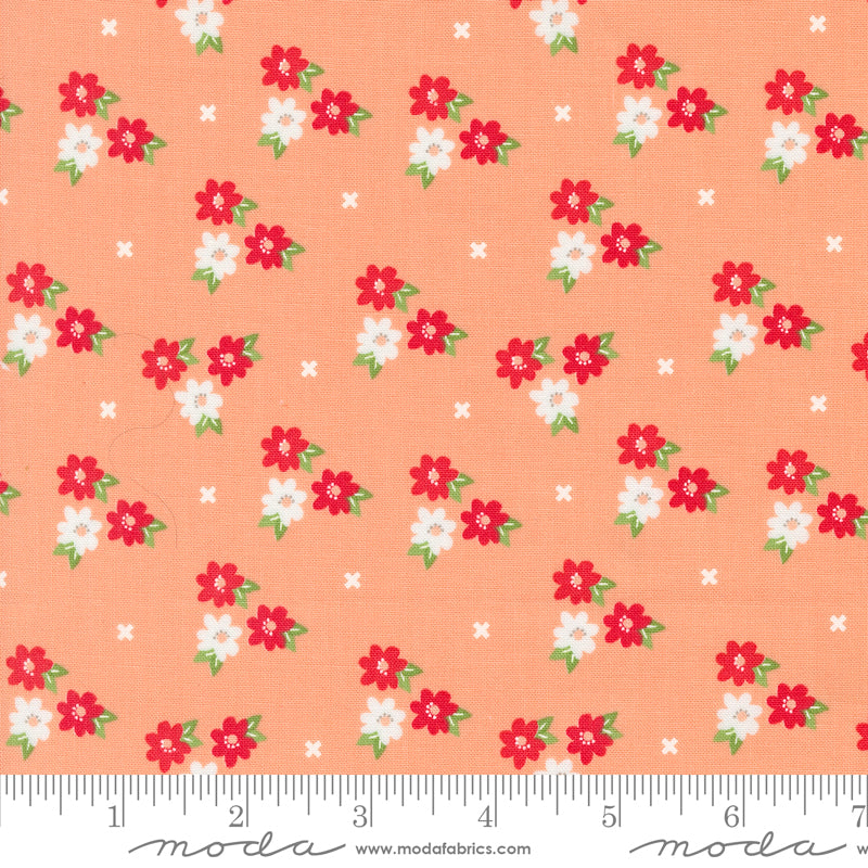 Laguna Sunrise | Morning Glory Florals Cantaloupe