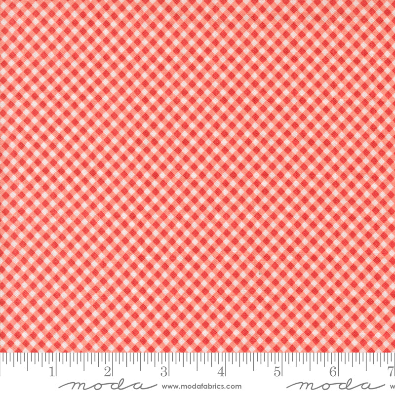 Raspberry Summer | Gingham Carnation