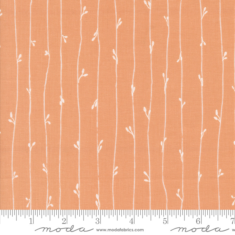 Rainier | Leather Bound Book Stripes Peach