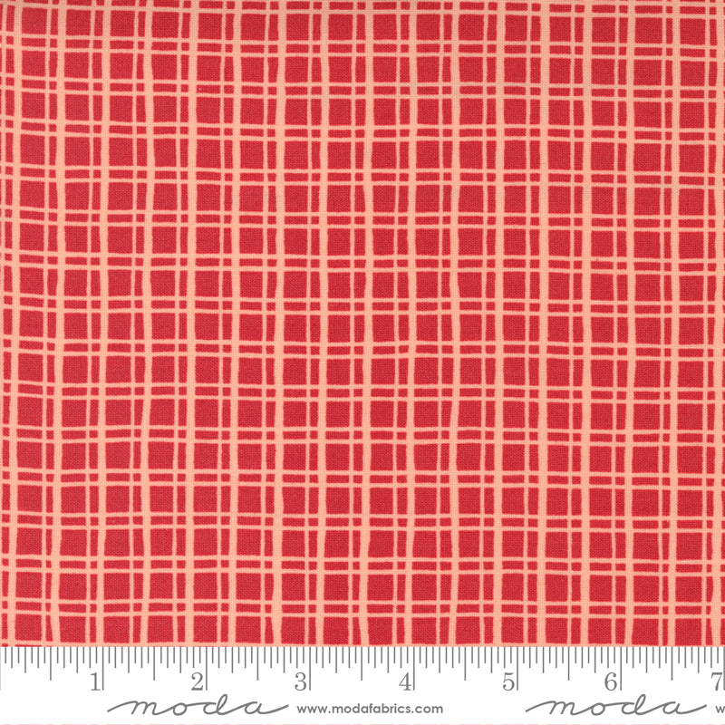 Cheer and Merriment | Christmas Check Cranberry Punch