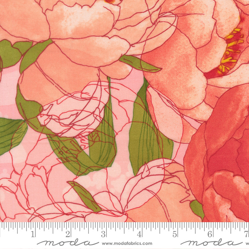 Darling Peony | Large Floral Watercolor Peony Cotton Candy
