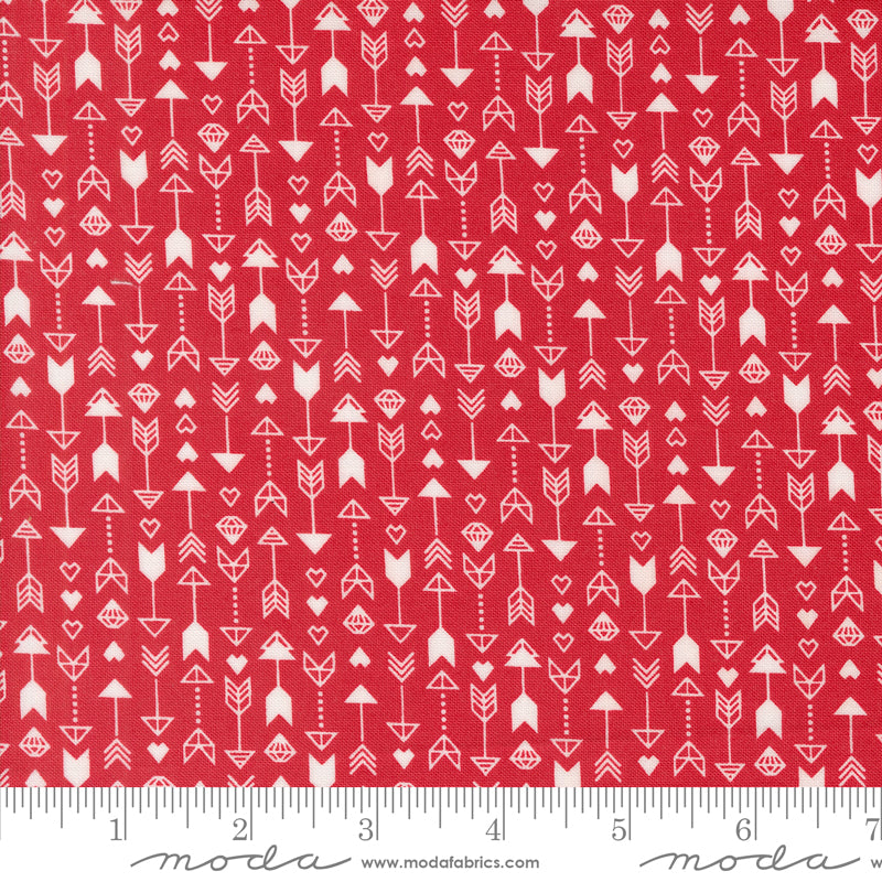 Love Blooms | Arrow Stripes Rose