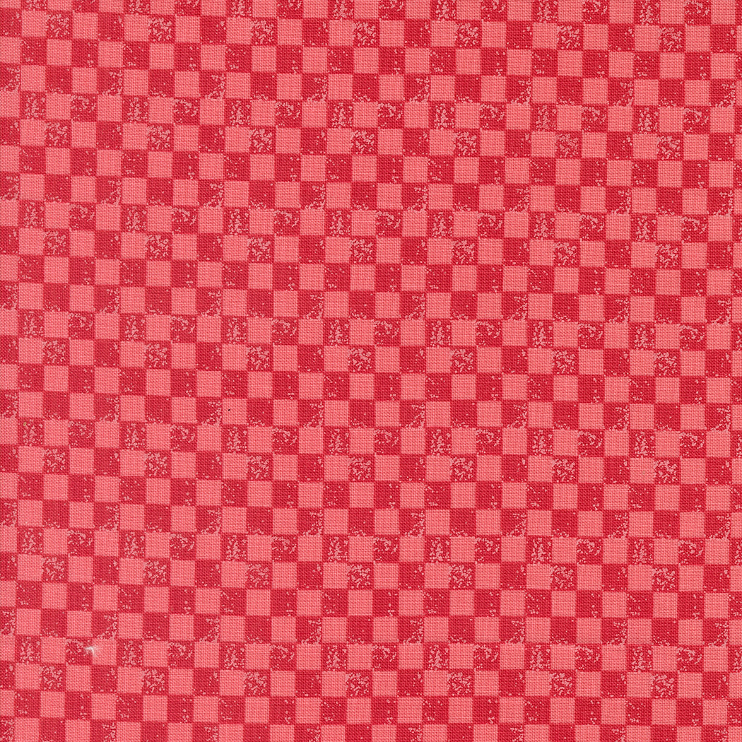 Love Blooms | Checkers Rose