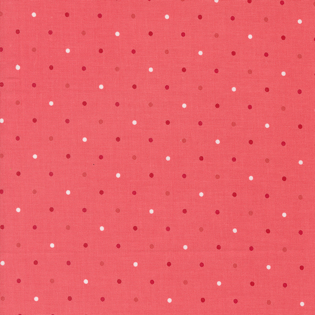 Magic Dot | Raspberry