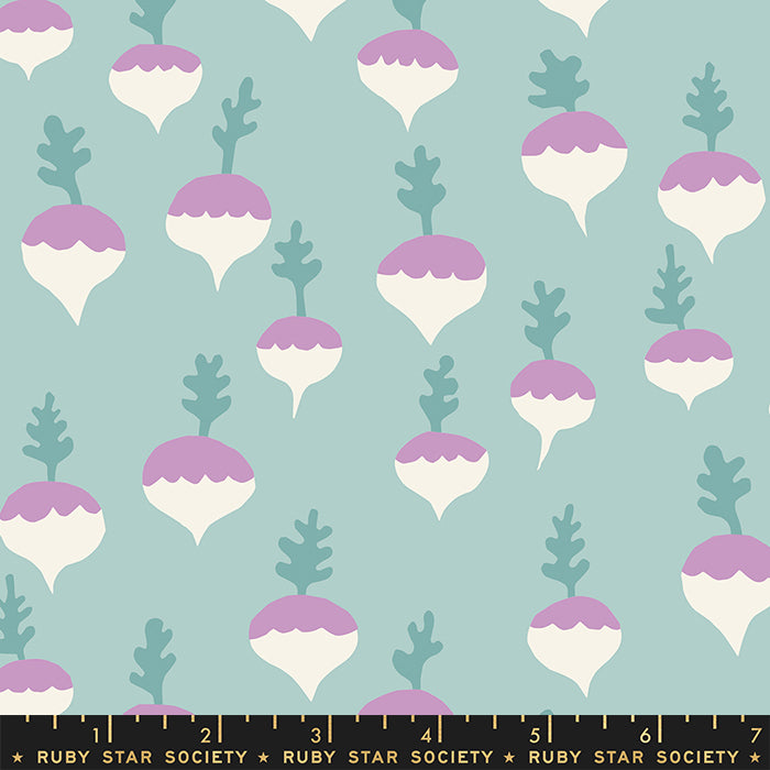 Petunia | Turnips Lily Pad