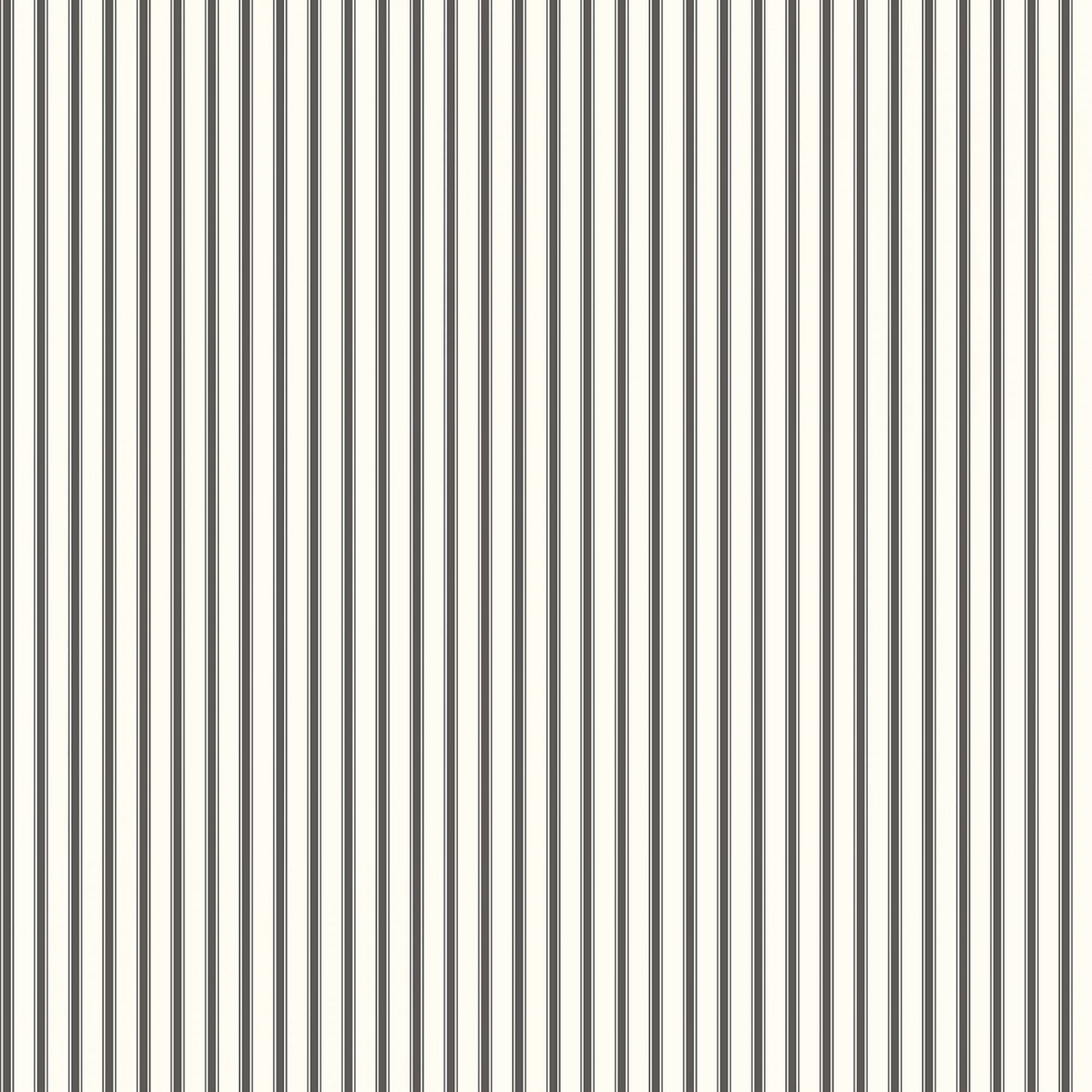 Fall in Love with Paris | Ivory French Stripe