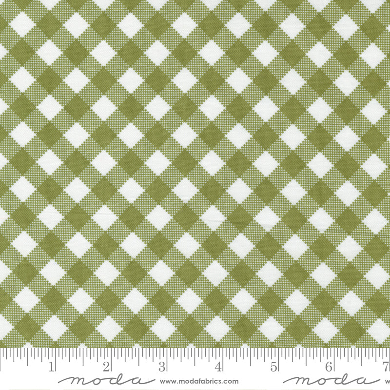 Timber | Pine Picnic