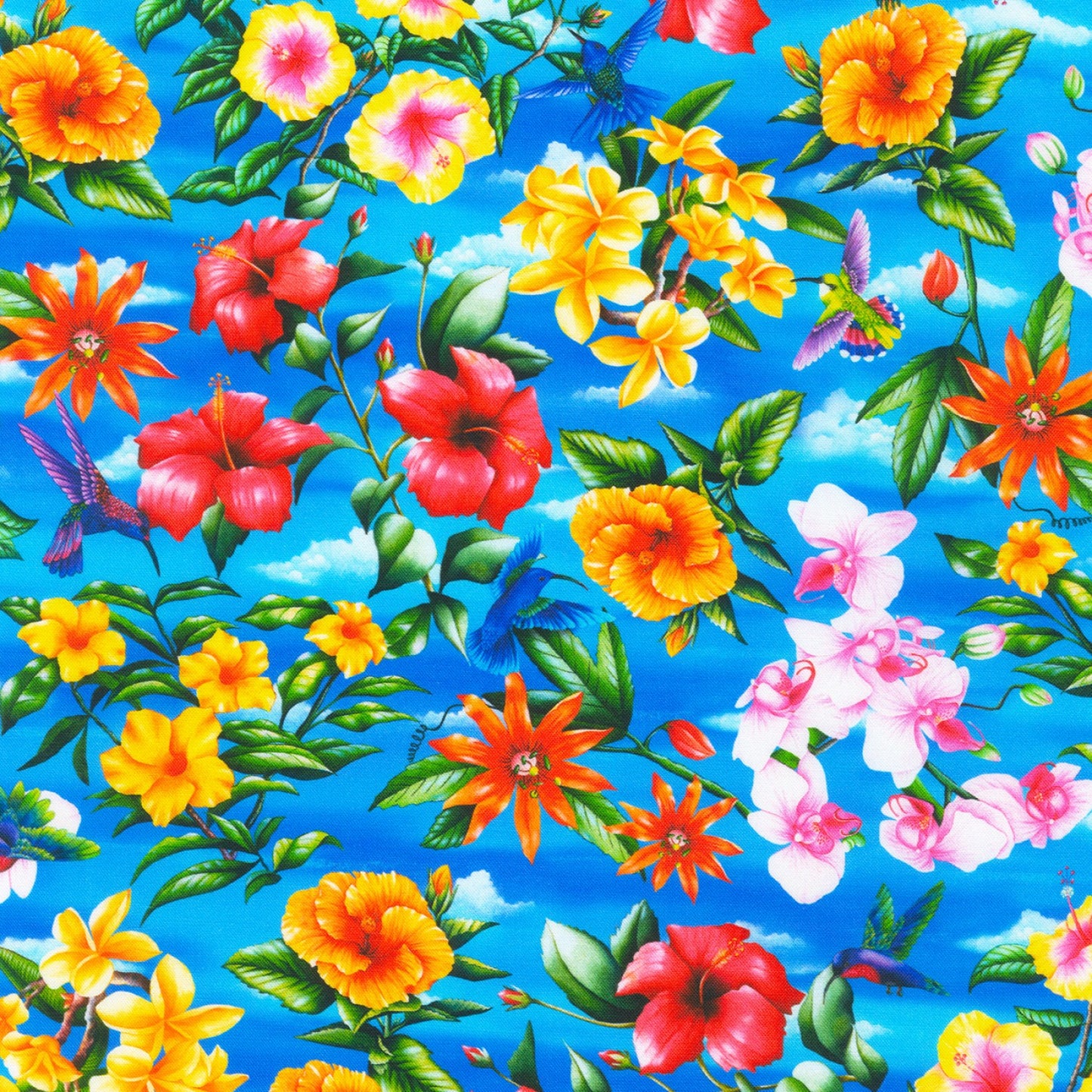 Tropical Canyon | Hibiscus Hummingbird