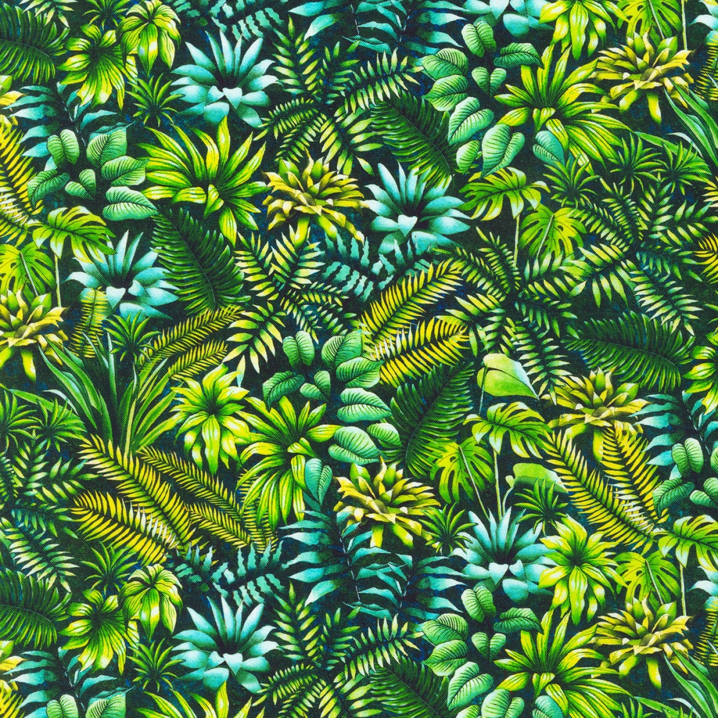 Tropical Canyon | Leaves Jungle