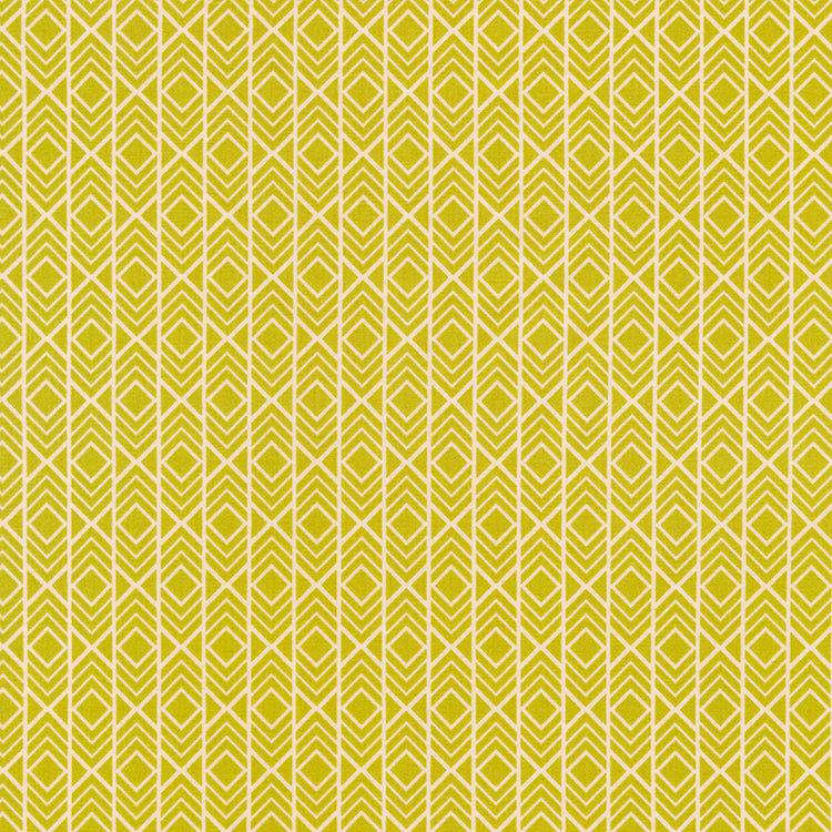 Adventure | Pickle Geo Stripe