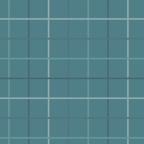 Snow Day | Wintry Check Soft