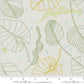 Olive You | Leaves Fog