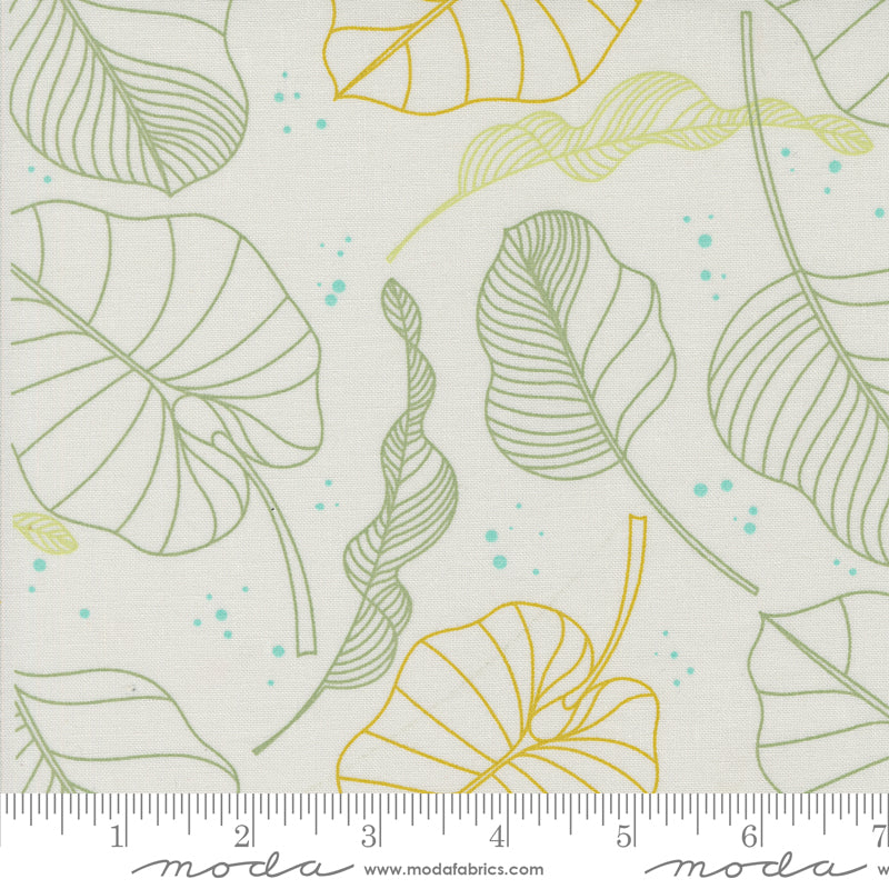Olive You | Leaves Fog