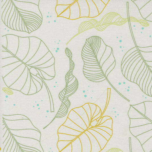 Olive You | Leaves Fog