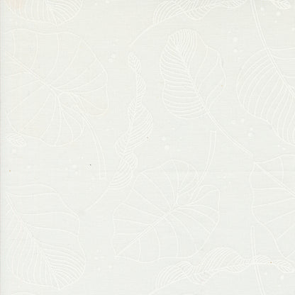 Olive You | Leaves Cloud