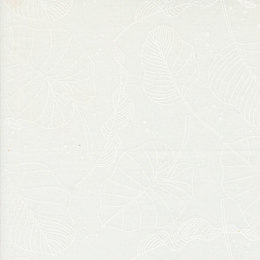 Olive You | Leaves Cloud
