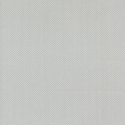 Coriander Colors | Tiny Dots Grey