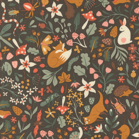 Acorn Hollow | Flora and Fauna Soil