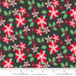 Kitty Christmas | Poinsettia Florals Coal