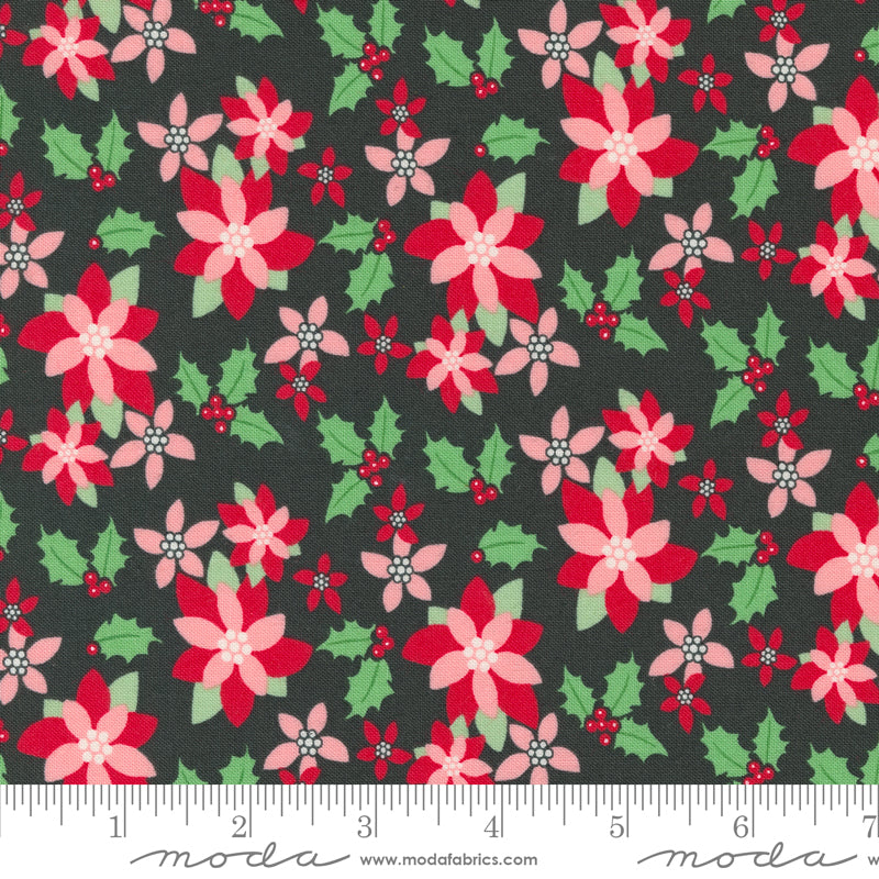 Kitty Christmas | Poinsettia Florals Coal