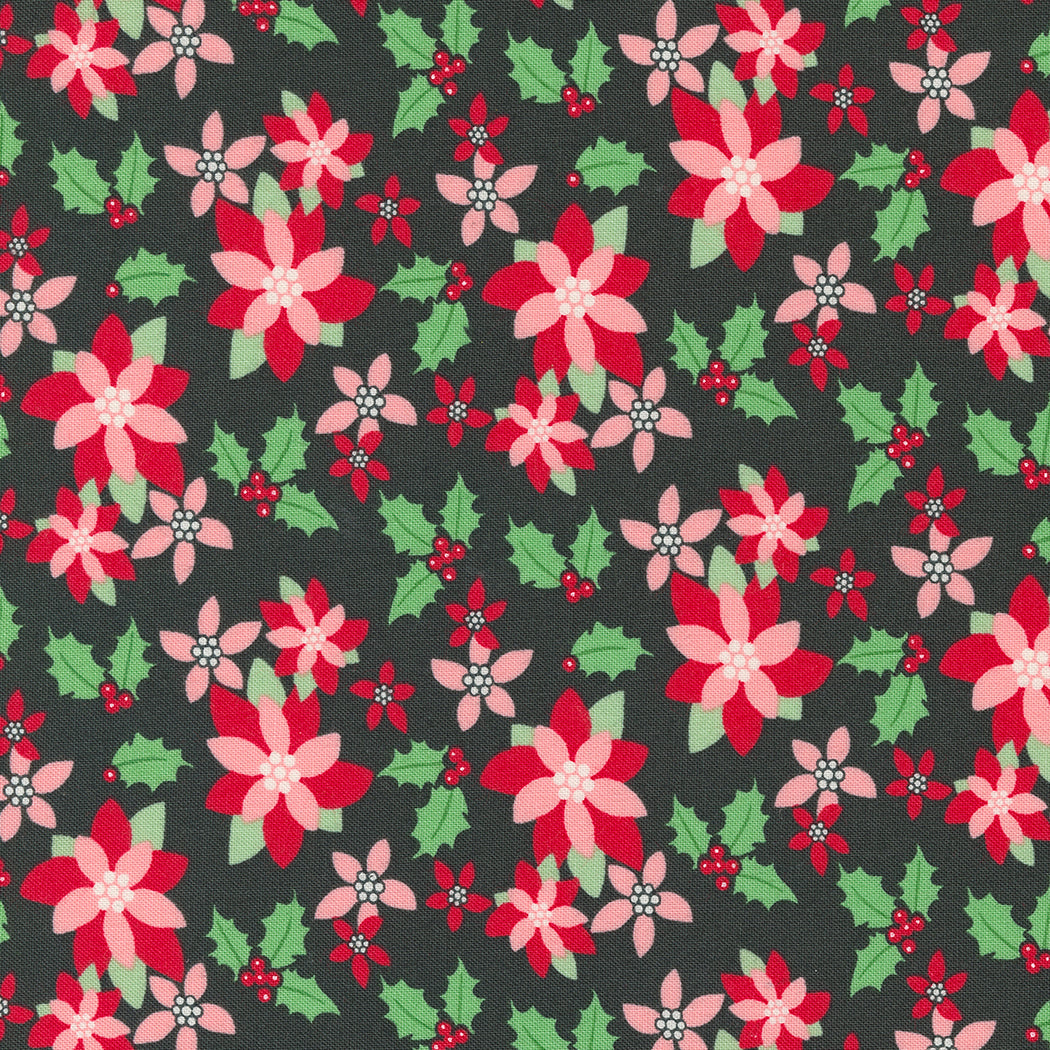 Kitty Christmas | Poinsettia Florals Coal