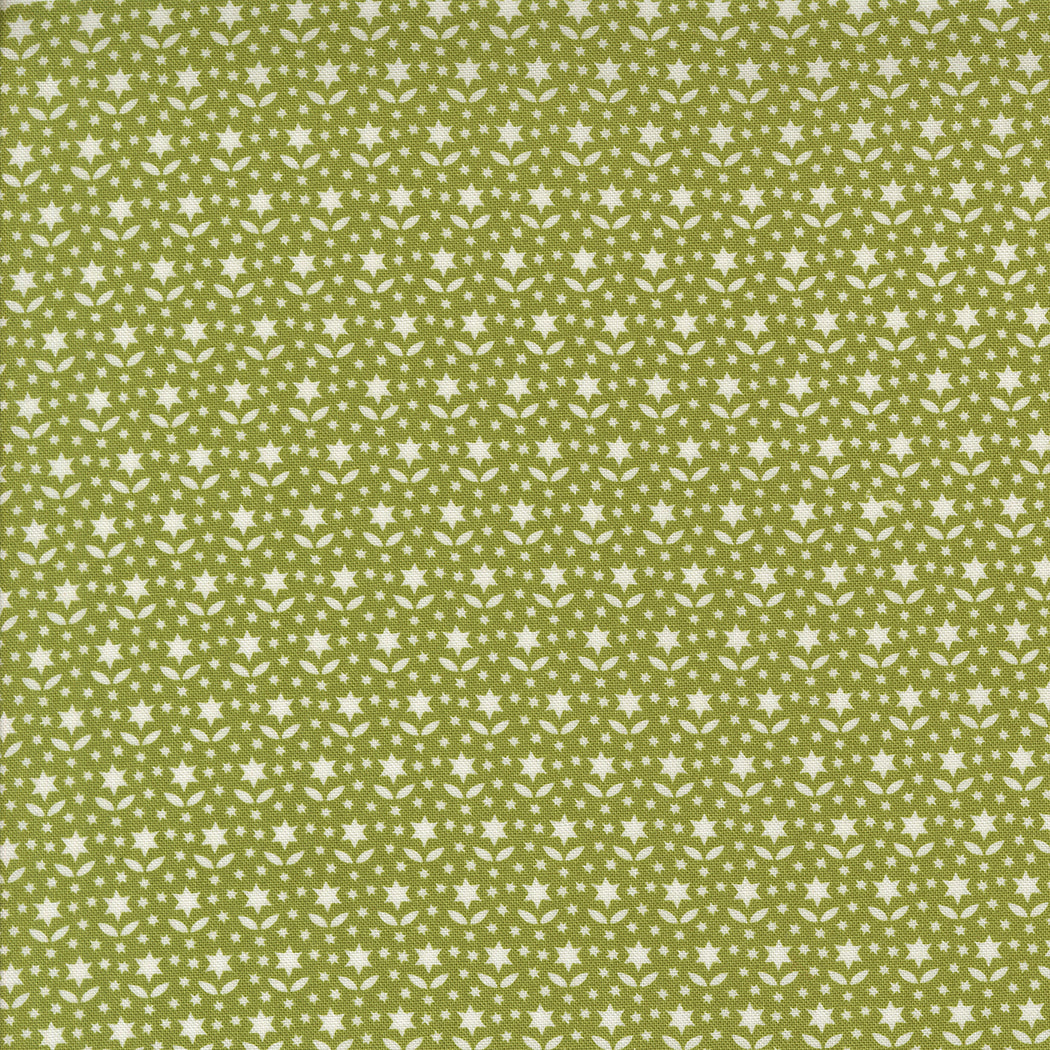 Buon Natale | Star Blooms Pine