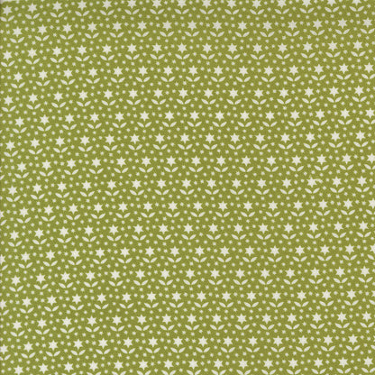 Buon Natale | Star Blooms Pine