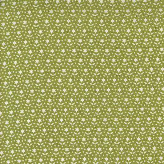 Buon Natale | Star Blooms Pine