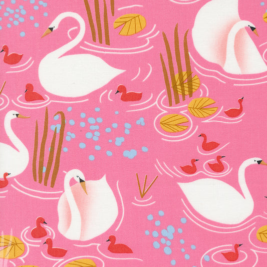 Love Letter | Novelty Swans Pink