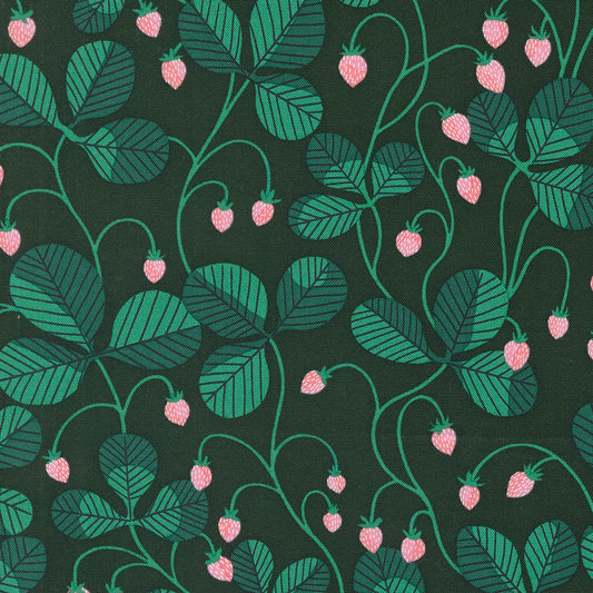 Love Letter | Strawberry Vines Hunter