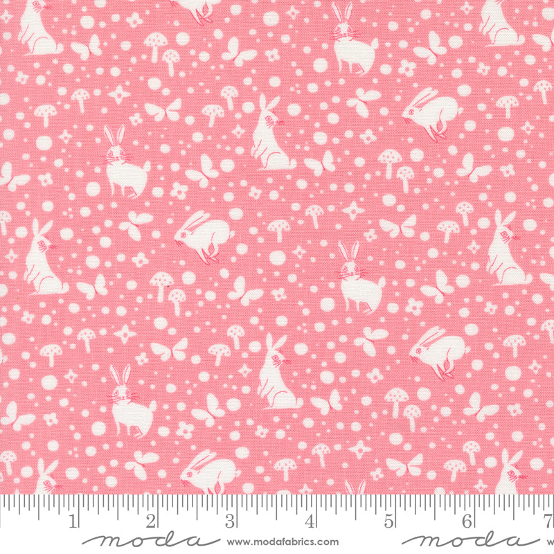 Love Letter | Wonder Dot Light Pink