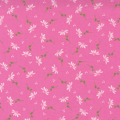 Sincerely Yours | Dainty Floral Daisy Petunia