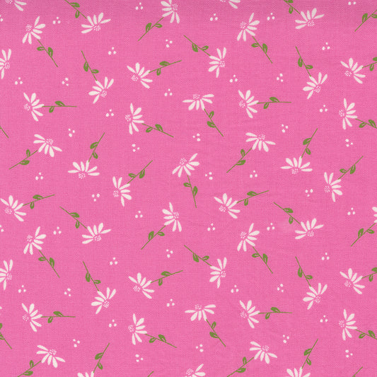 Sincerely Yours | Dainty Floral Daisy Petunia