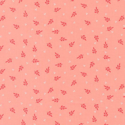 Favorite Things | Holly Blush