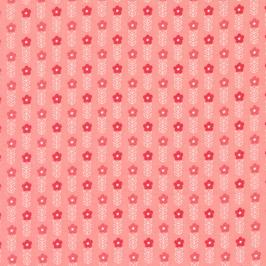 Strawberry Lemonade | Blooms Small Floral Stripe Carnation