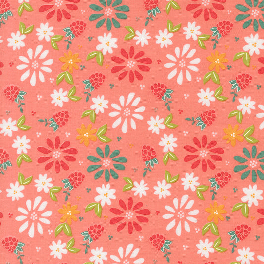 Raspberry Summer | Spring Berries and Florals Carnation