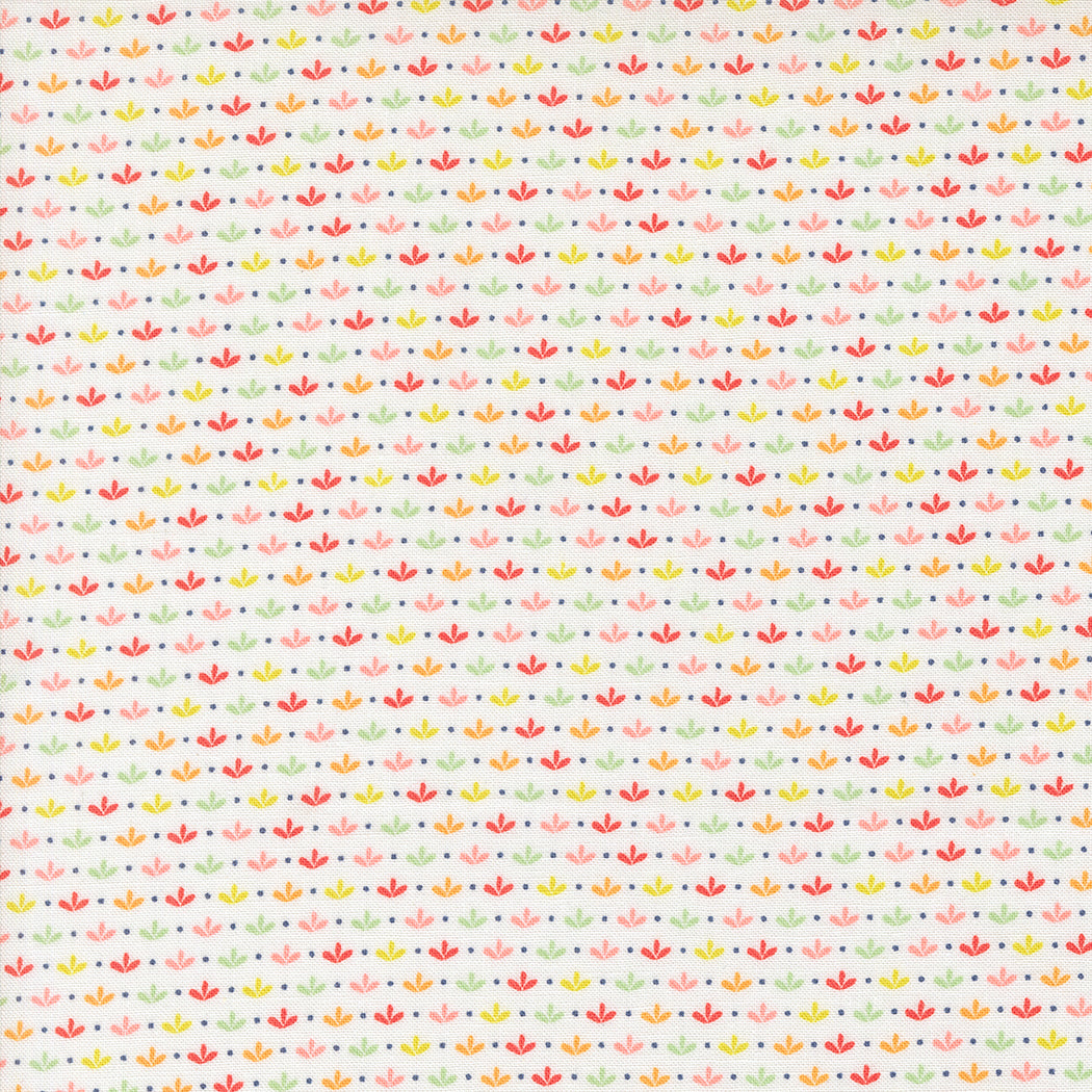 Raspberry Summer | Sprout Blenders Cloud