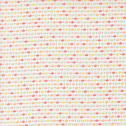 Raspberry Summer | Sprout Blenders Cloud