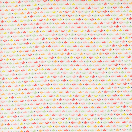 Raspberry Summer | Sprout Blenders Cloud