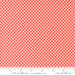 Raspberry Summer | Gingham Carnation